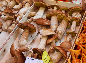 High angle view of mushrooms in market