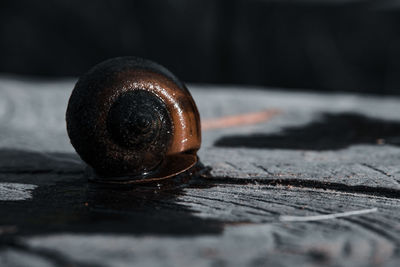 Close-up of rusty metal on table