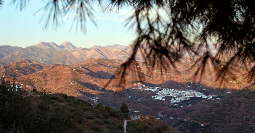 View of trees on landscape against sky
