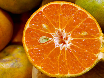 Close-up of orange