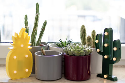 Close-up of cactus flower pot on table