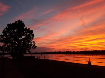 Silhouette of trees at sunset