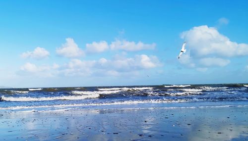 Seagulls flying over sea against sky