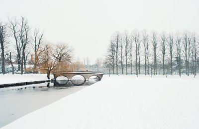 Snow covered trees against sky