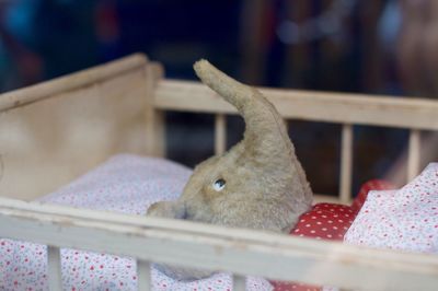 Elephant toy in crib