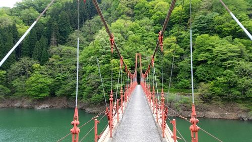 Footbridge over river amidst trees in forest