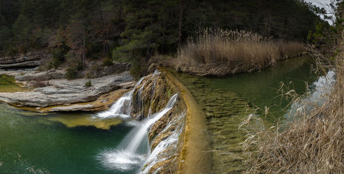 Scenic view of waterfall in forest
