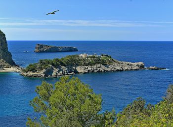 Scenic view of sea against blue sky