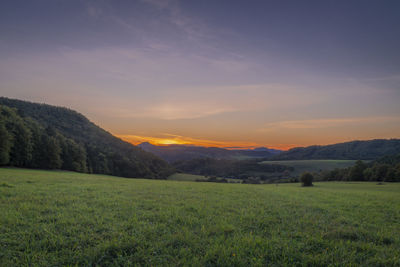 Scenic view of field against sky during sunset