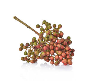 High angle view of berries on white background