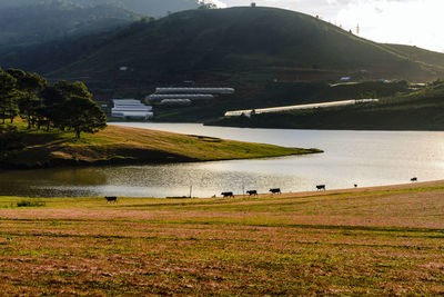 Scenic view of lake against sky