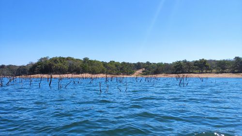 Scenic view of lake against clear blue sky