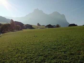 Scenic view of field against clear sky