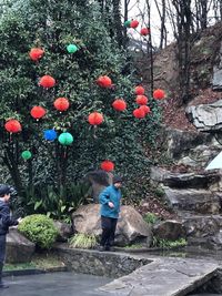 Full length of man standing by tree against plants