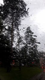 Raindrops on road seen through wet window