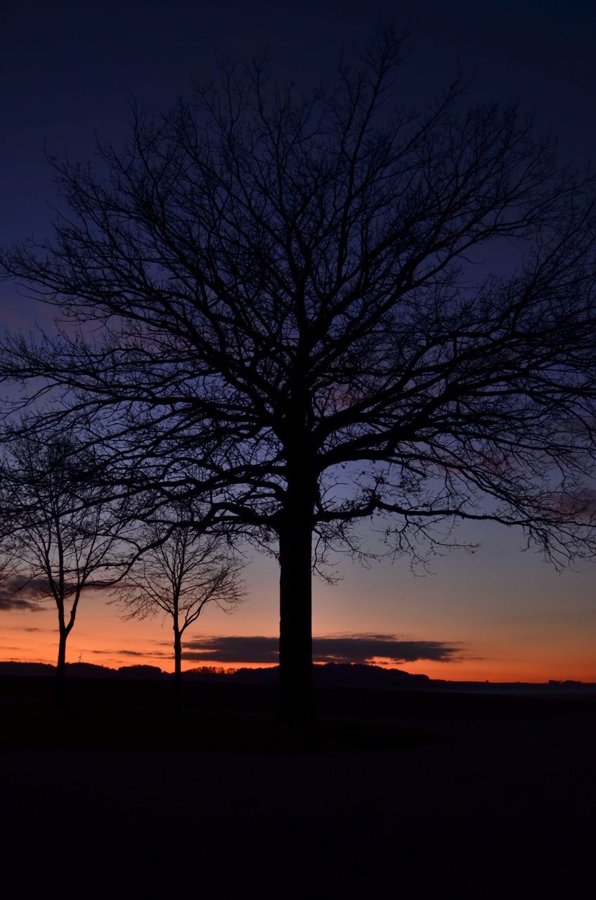 silhouette, bare tree, sunset, tree, tranquility, tranquil scene, scenics, sky, branch, beauty in nature, landscape, orange color, nature, tree trunk, dark, idyllic, field, dusk, non-urban scene, majestic