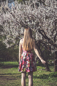 Rear view of woman standing by cherry blossom tree