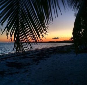 Scenic view of sea at sunset