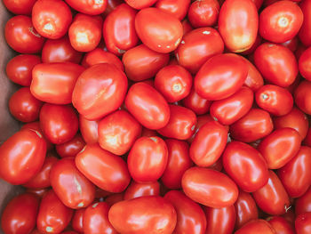 Red ripe tomatoes background. tomato autumn natural products, seasonal vegetables, local food.