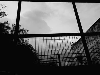 Trees against sky