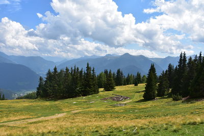 Scenic view of the field against the sky