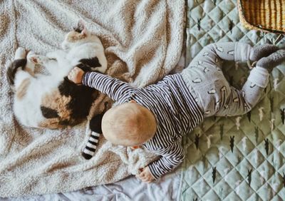 High angle view of cat relaxing on bed at home