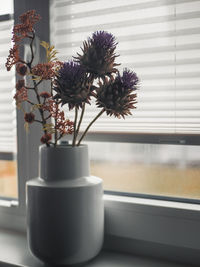 Close-up of potted plant on table at home