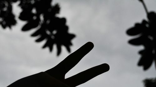 Close-up of hand against sky