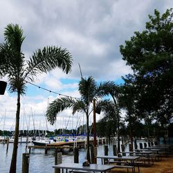 Palm trees on beach against sky