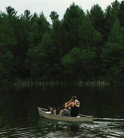 Scenic view of lake by trees in forest