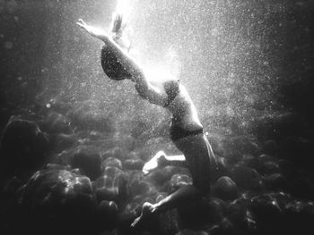 Jellyfish swimming in sea