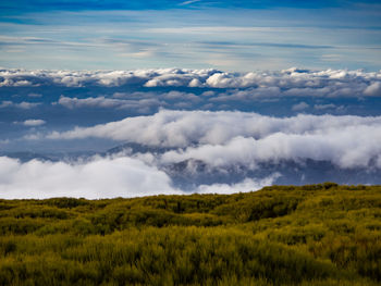 Scenic view of landscape against sky