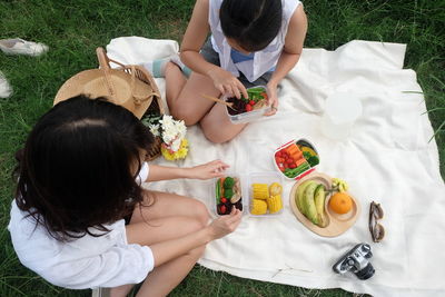 High angle view of female friends having food at picnic