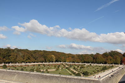 Road by trees against sky