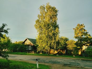 Scenic view of landscape against clear sky