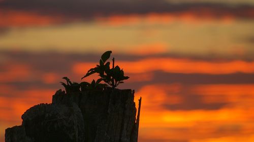 Scenic view of sunset