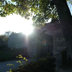 Sunlight falling on plants by building against sky