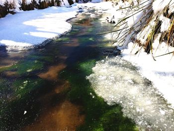 High angle view of water flowing amidst trees during winter