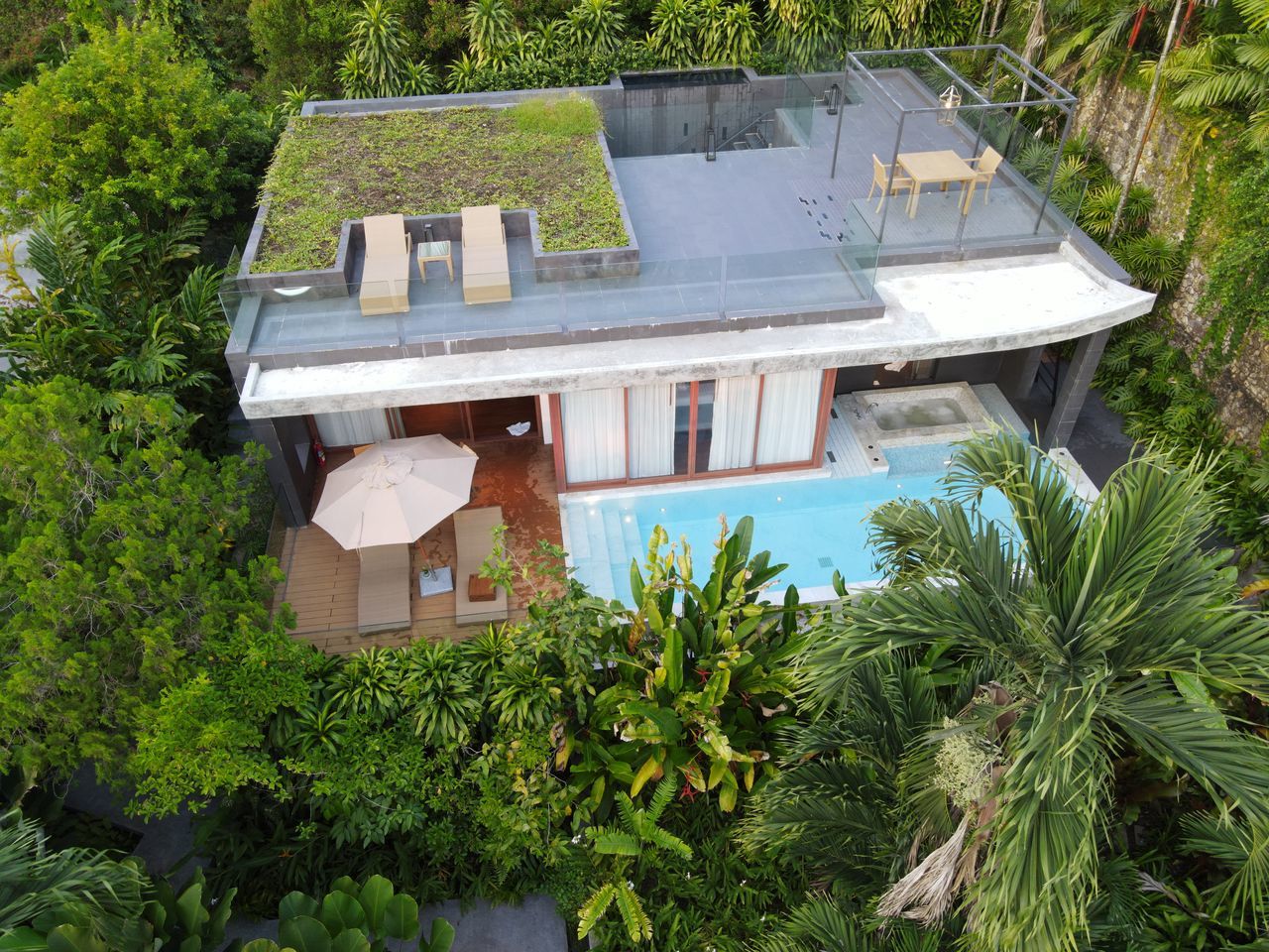 HIGH ANGLE VIEW OF TREES AND PLANTS IN YARD