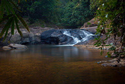 Scenic view of waterfall in forest