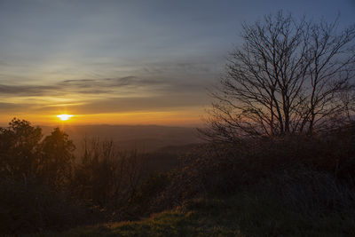 Silhouette trees on landscape against sky during sunset