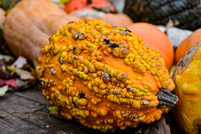 Close-up of pumpkins fruits for sale in market