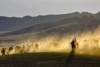 People on field against mountains