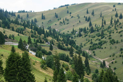 Ghimes mountain pass in transylvania, romania