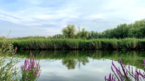 Scenic view of lake against sky