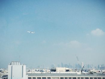 Airplane flying in sky