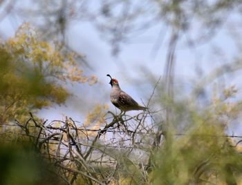 Bird perching on a branch