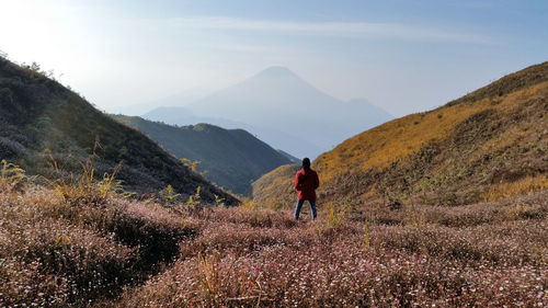 Rear view of man on mountain against sky