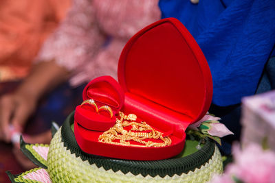 Close-up of hand holding red rose