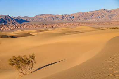 Scenic view of desert against sky